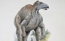 Imagen de Telmatosaurus