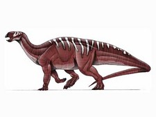 Imagen de Tenontosaurus