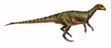 Imagen de Thescelosaurus