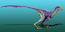 Imagen de Tianyuraptor