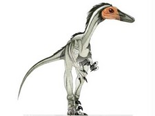 Imagen de Tochisaurus