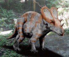 Imagen de Utahceratops