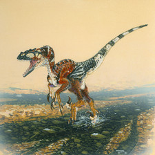 Imagen de Utahraptor