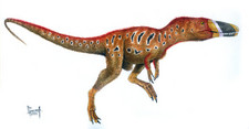 Imagen de Xiongguanlong