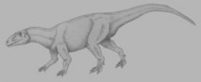 Imagen de Xuanhanosaurus