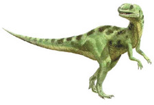 Imagen de Yangchuanosaurus