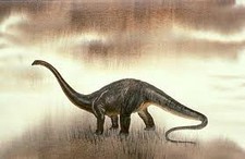 Imagen de Zapalasaurus