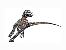 Imagen de Zephyrosaurus
