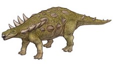 Imagen de Zhongyuansaurus