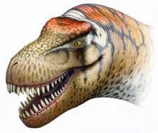 Imagen de Zhuchengtyrannus