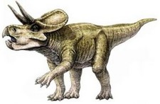 Imagen de Zuniceratops