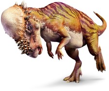Imagen de Pachycephalosaurio