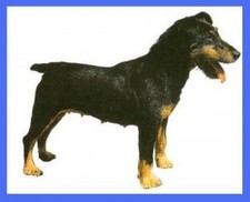 Imagen de Terrier cazador alemn