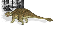 Imagen de Ankylosaurus
