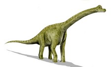 Imagen de Brachiosaurus