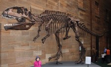 Imagen de Giganotosaurus