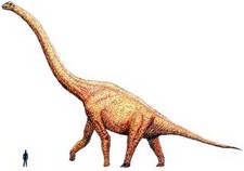 Imagen de Sauroposeidon