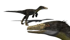 Imagen de Austroraptor