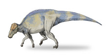 Imagen de Brachylophosaurus
