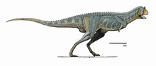 Imagen de Carnotaurus