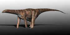 Imagen de Cetiosaurus