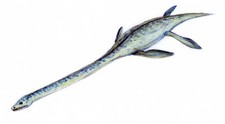 Imagen de Elasmosaurus
