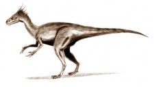Imagen de Ornitholestes