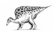 Imagen de Ouranosaurus