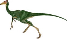 Imagen de Pelecanimimus