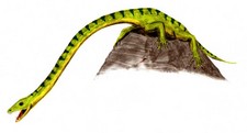 Imagen de Tanystropheus
