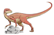 Imagen de Abrictosaurus