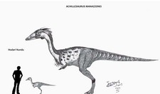 Imagen de Achillesaurus