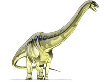 Imagen de Aegyptosaurus