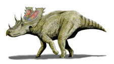 Imagen de Agujaceratops