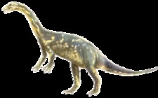 Imagen de Ammosaurus