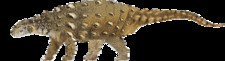 Imagen de Anoplosaurus