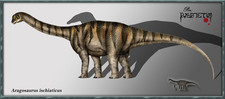 Imagen de Aragosaurus