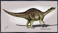 Imagen de Arenysaurus