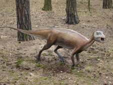 Imagen de Atlascopcosaurus