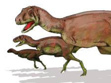 Imagen de Aucasaurus