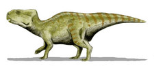 Imagen de Auroraceratops