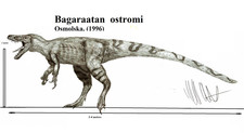 Imagen de Bagaraatan