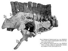 Imagen de Barilium