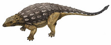 Imagen de Cedarpelta