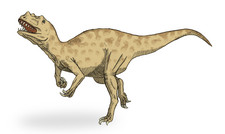 Imagen de Ceratosaurus