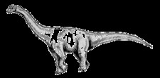 Imagen de Chebsaurus