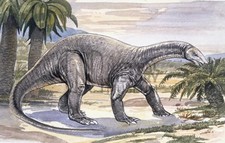 Imagen de Chinshakiangosaurus
