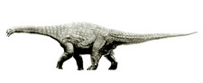 Imagen de Chondrosteosaurus