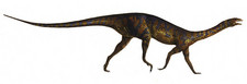 Imagen de Chromogisaurus