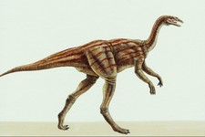 Imagen de Deinocheirus
